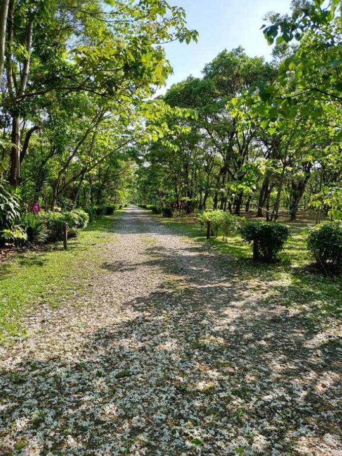ג'יאן 花蓮金澤居民宿樹窩民宿御安居民宿寵物友善 מראה חיצוני תמונה