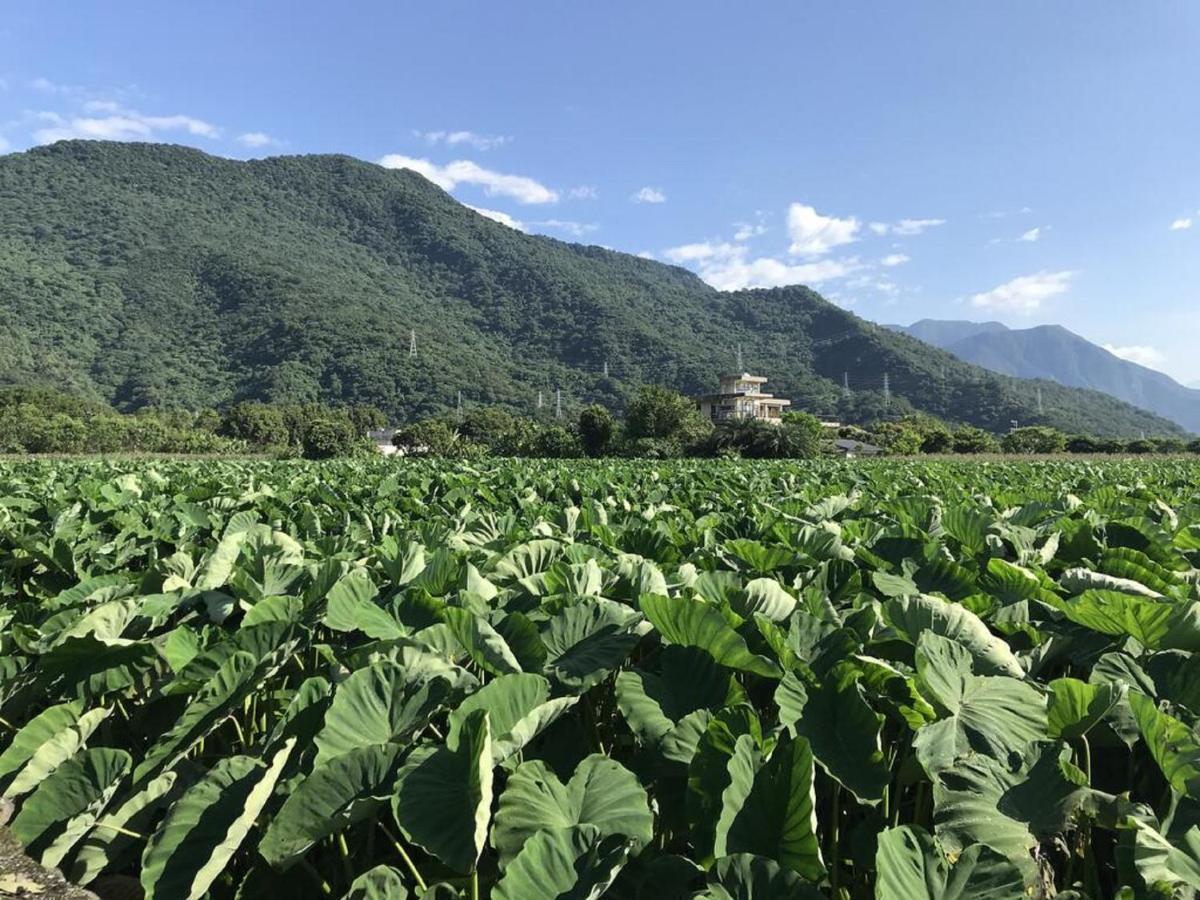 ג'יאן 花蓮金澤居民宿樹窩民宿御安居民宿寵物友善 מראה חיצוני תמונה